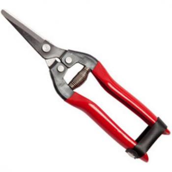 Ciseaux de jardinage pour raisins 19 cm