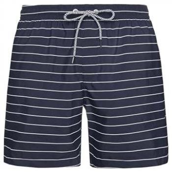Protest Beach Short Uomo XL Blu Sharif