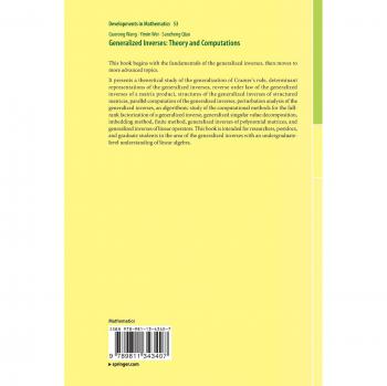 Generalized Inverses: Theory and Computations (Developments in Mathematics, Band 53)