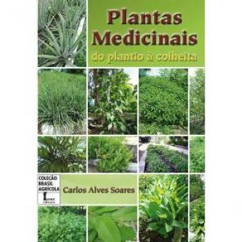 Plantas medicinais. Do plantio à colheita