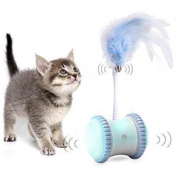 Irregular Movement Cat Toy
