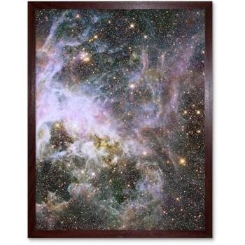Large Magellanic Cloud Tarantula Image