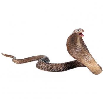 Décoration Reptile Cobra