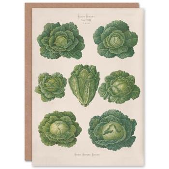 Savoy Cabbage Vintage Botanical Wall Decor