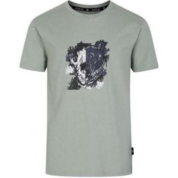 Dare 2B Kinder T-Shirt Trailblazer II mit Grafikdruck