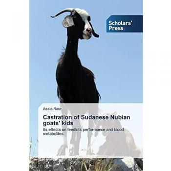 Castration of Sudanese Nubian goats' kids