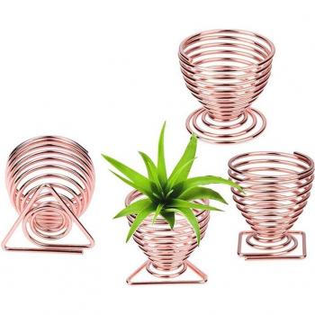 Rose Gold Plant Display Rack for Air Plants