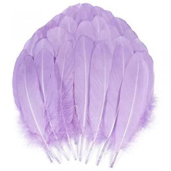 Poudre de plumes d'oie violet clair 200 pcs