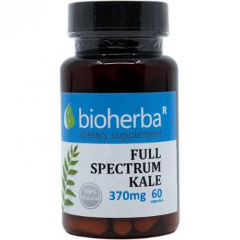 Kale SuperBoost 370 mg – 60 Capsule