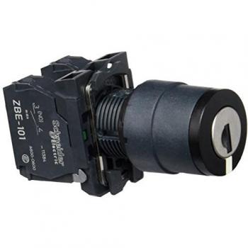 Interruptor rotativo 3 posiciones 6A 2NO Schneider Electric