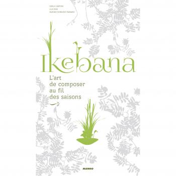 Ikebana, l'art de composer au fil des saisons