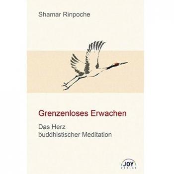 Shamar Rinpoche Grenzenloses Erwachen: Das Herz Buddhistischer Meditation