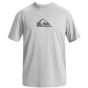 Camiseta Quiksilver Everyday Surf Tee Gris