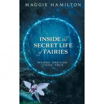 Inside the Secret Life of Fairies by Maggie Hamilton