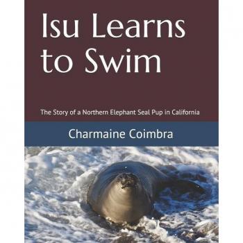 Isu Learns to Swim: The Story of a Northern Elephant Seal Pup in California