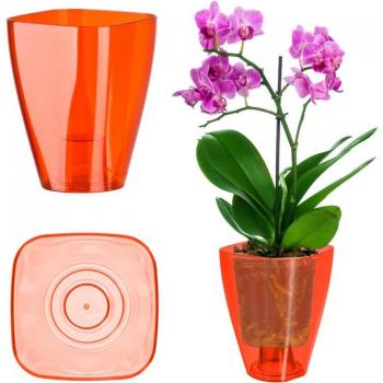 Square Red Orchid Pot 12 cm – KADAX Edition