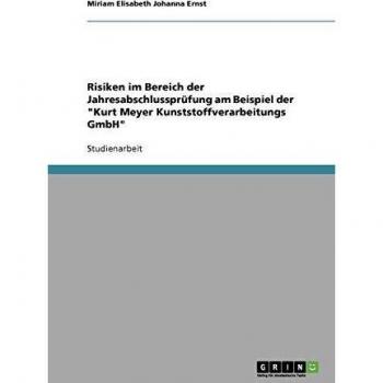 Risiken im Bereich der Jahresabschlussprüfung am Beispiel der Kurt Meyer Kunststoffverarbeitungs GmbH
