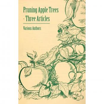 Pruning Apple Trees