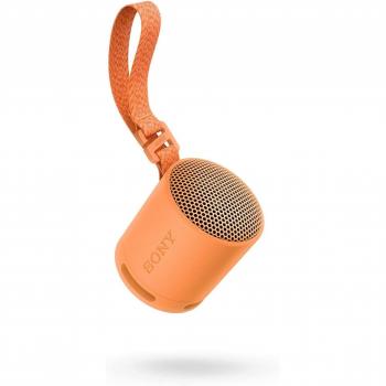 Sony SRS-XB100
