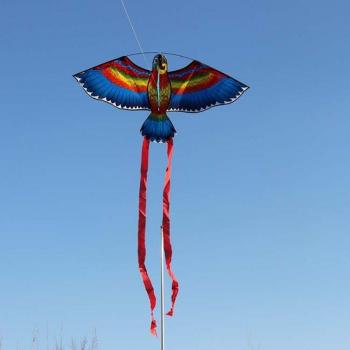 Kids Parrot Kite
