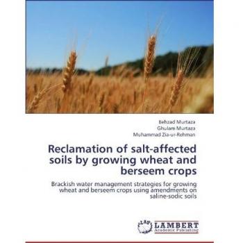 Reclamation of salt-affected soils by growing wheat and berseem crops