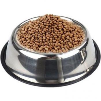 Adjustable Stainless Steel Dog Food and Water Dish