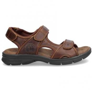 Salton Basics C4 Leather Sandals