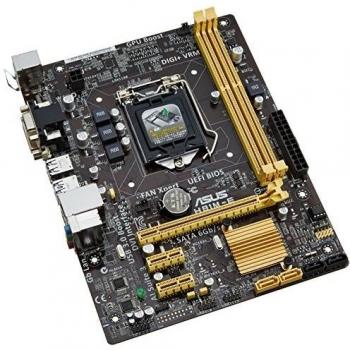 Motherboard Asus H81M‑E – Sistema de Expansión PCI Express 2.0