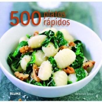 500 PLATOS RAPIDOS
