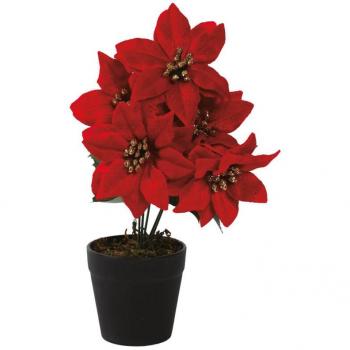 Fiorita Poinsettia 25 cm – Vaso d'Ornamentazione per Tavolo