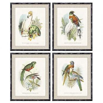 Lienzo de Pájaros en Acero y Madera DKD – 50x60cm, Pack 4