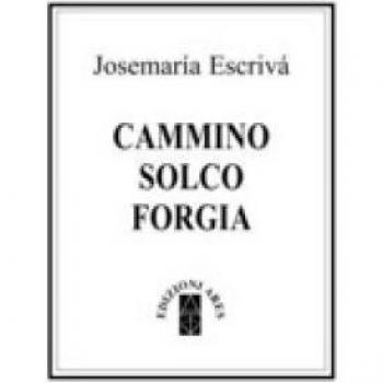 Cammino Solco Forgia. Ediz. Deluxe