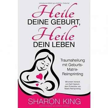 Heile Deine Geburt, heile Dein Leben: Traumaheilung mit Geburts-Matrix-Reimprinting