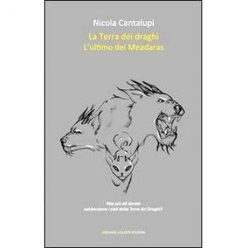 L'ultimo dei Meadaras. La terra dei draghi