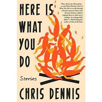 Here Is What You Do: Stories