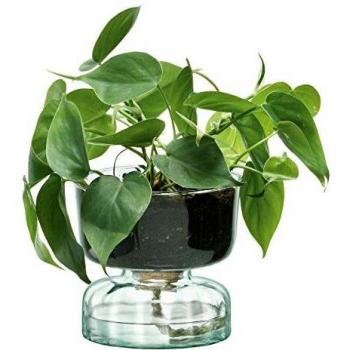 Canopy Recycled Self Watering Planter by LSA, 13cm