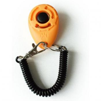 Bracelets d'entraînement avec fonctions sonores pour animaux