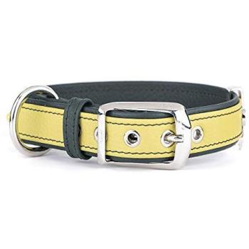 Collar para Mascotas Myfamily Firenze Amarillo 42-50 cm
