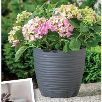 Vaso per piante Sahara Ø 17 cm nero antracite