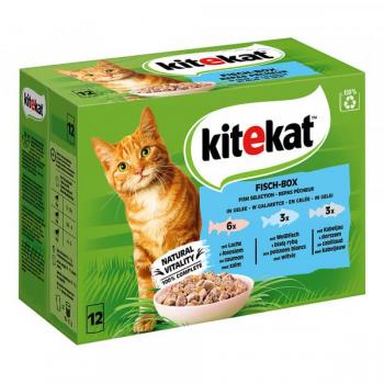Mégapack de sachets pour chat Purina One Adult 48 x 85 g
