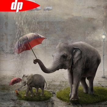 Strass-Elefant: 30x30CM Diamantkunst
