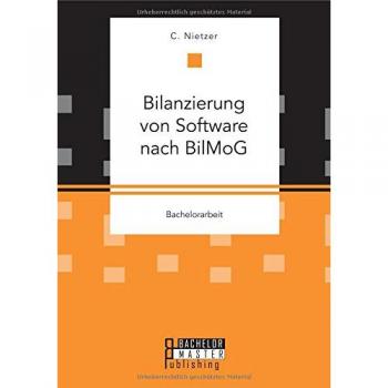 Bilanzierung von Software nach BilMoG