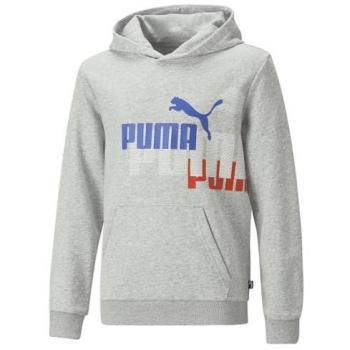 Puma Sudadera con Capucha Ess+ Logo Power