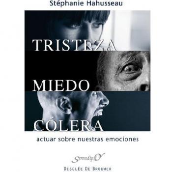 Tristeza miedo colera (Tapa blanda con solapas).