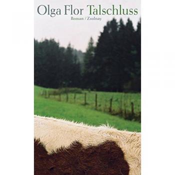 Talschluss: Roman