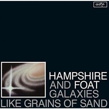 Galaxies like grains of sand