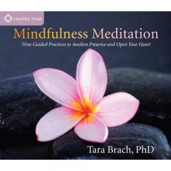 Mindfulness Meditation : Nine Guided Practices to Awaken Presence and Open Your Heart