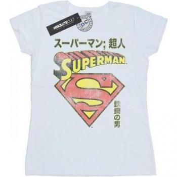DC Comics Superman Shield Graphic T-Shirt