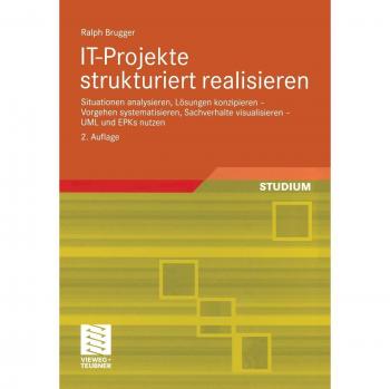 I.T.-Projekte strukturiert realisieren: Situationen analysieren, Lösungen konzipieren
