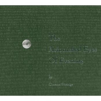 Les Yeux Étonnés de la Nuit